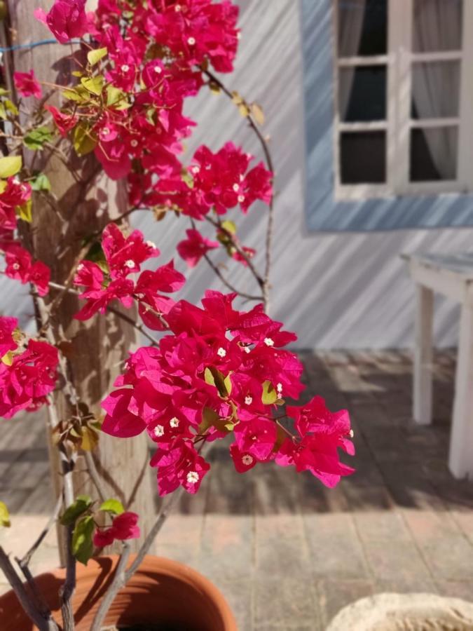 Casa Largo Do Poco Guesthouse Alvor Bagian luar foto